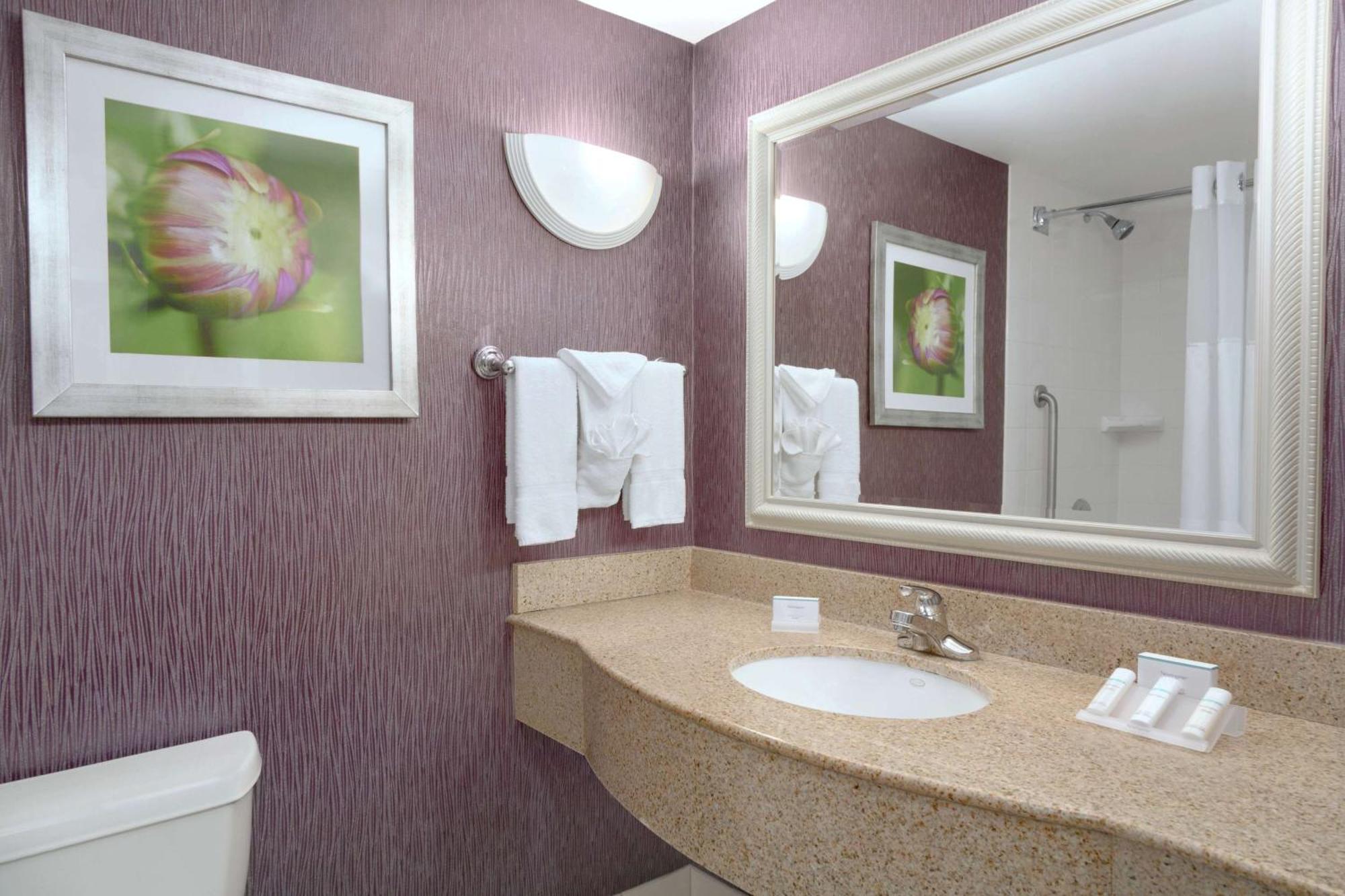 Hilton Garden Inn Springfield, Ma Exteriör bild