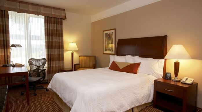 Hilton Garden Inn Springfield, Ma Exteriör bild
